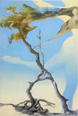 ANDREAS STEINBRECHER